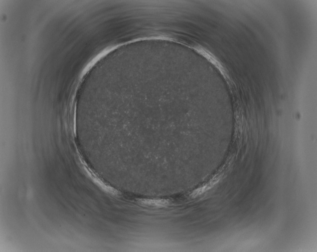 X0000086241127200703291348