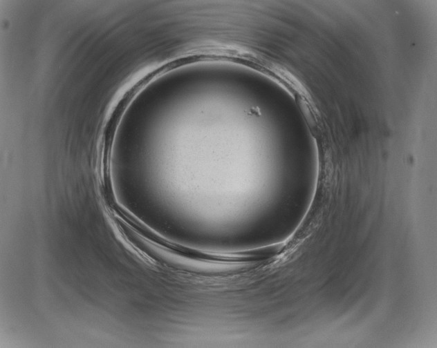 X0000086241128200703291348