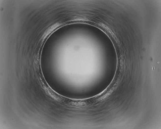 X0000086241129200703291348
