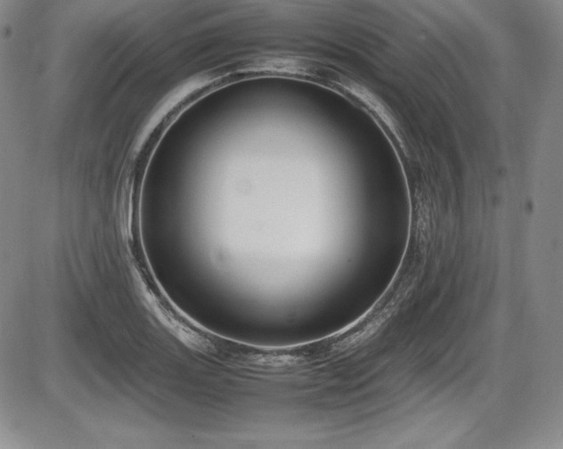 X0000086241131200703291348