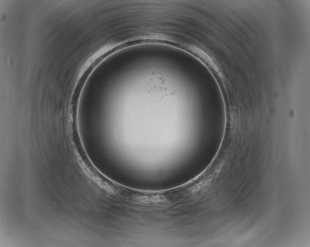 X0000086241133200703291348
