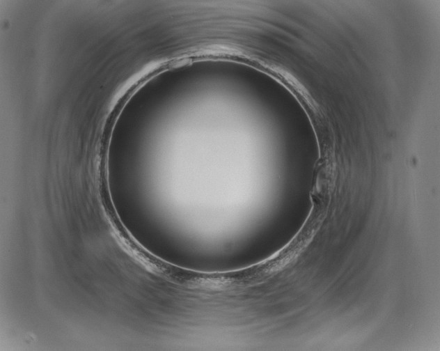 X0000086241134200703291348