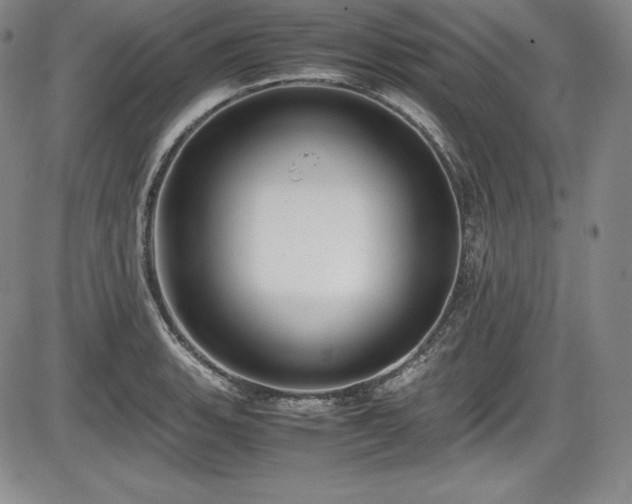 X0000086241135200703291348
