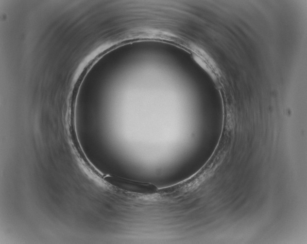 X0000086241136200703291348