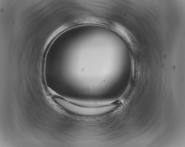 X0000086241138200703291348