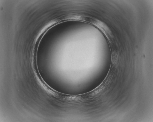 X0000086241139200703291348