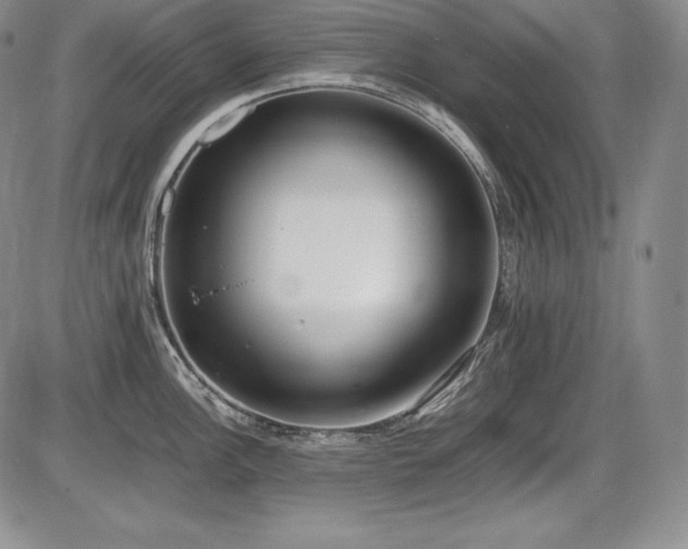 X0000086241148200703291349