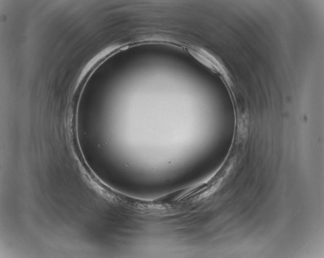X0000086241149200703291349