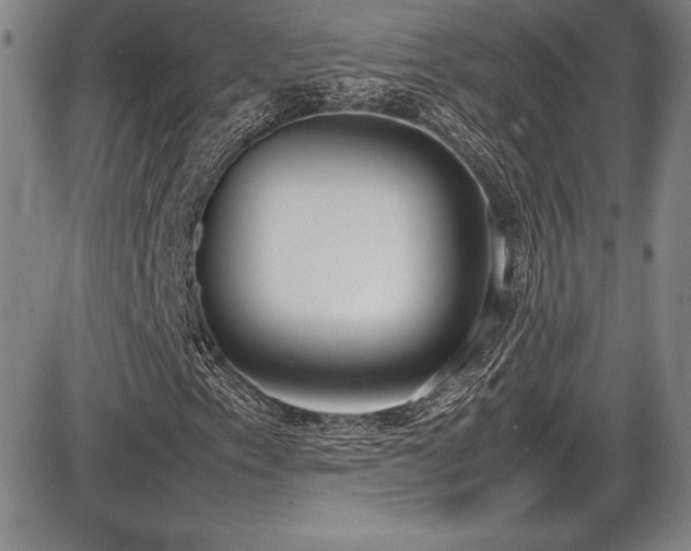 X0000086241153200703291348