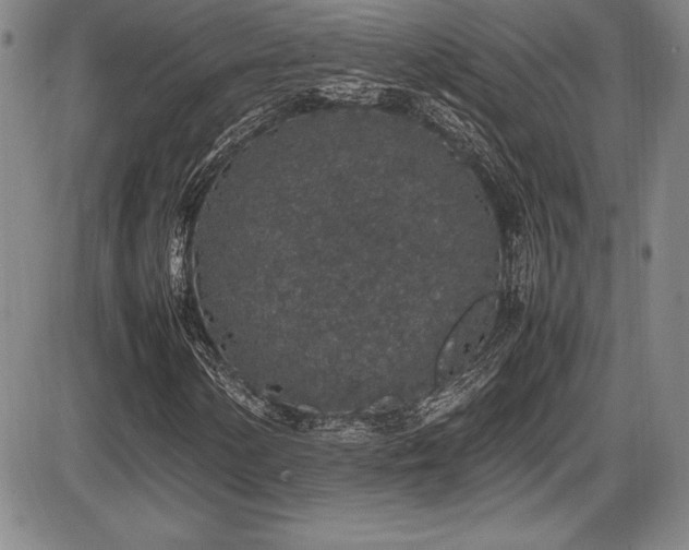 X0000086241154200703291348