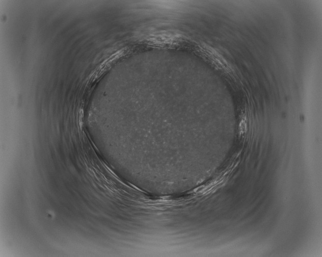 X0000086241156200703291348