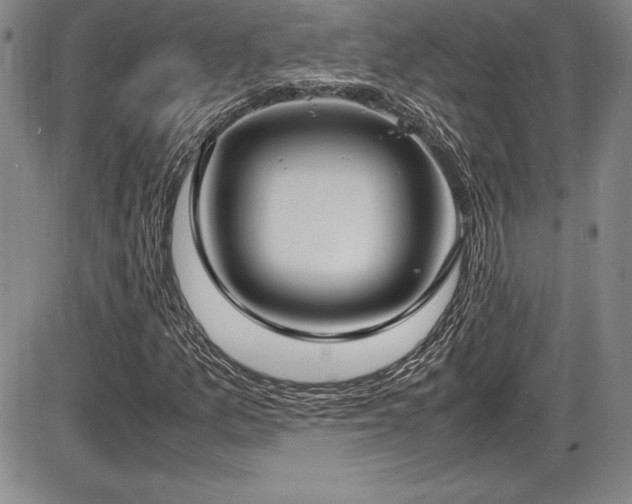 X0000086241157200703291348