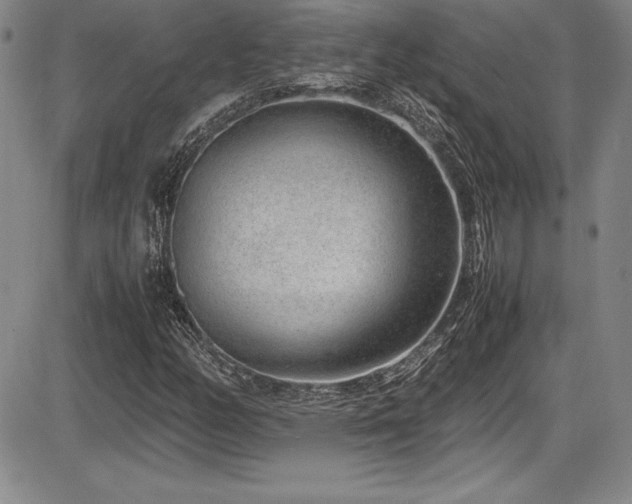 X0000086241158200703291348