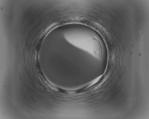 X0000086241161200703291348