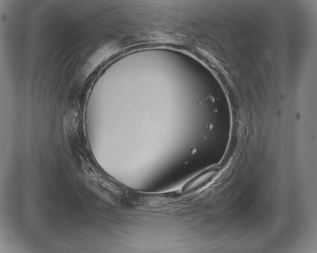 X0000086241163200703291348