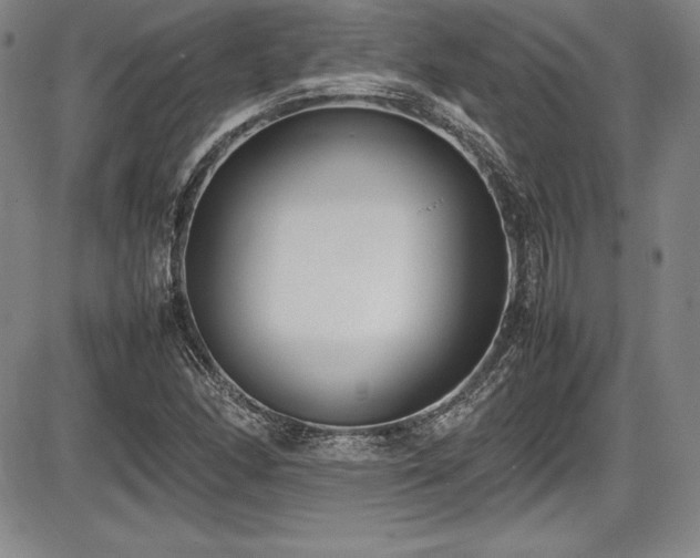 X0000086241166200703291348