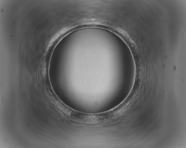 X0000086241167200703291348