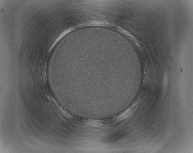 X0000086241170200703291348