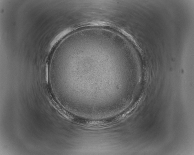 X0000086241171200703291347