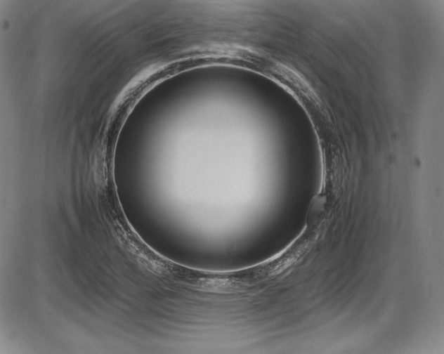 X0000086241172200703291347