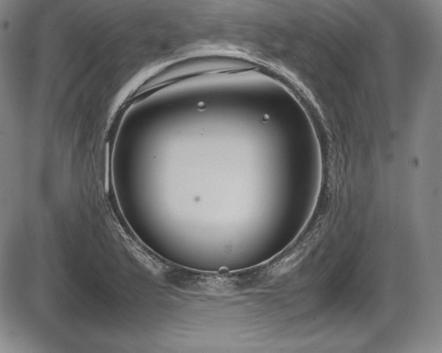 X0000086241175200703291347