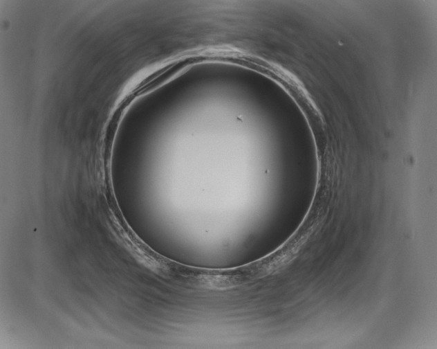 X0000086241176200703291347