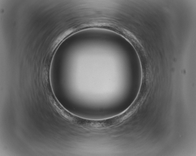X0000086241177200703291347