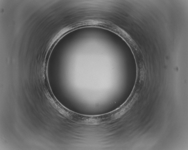 X0000086241178200703291347