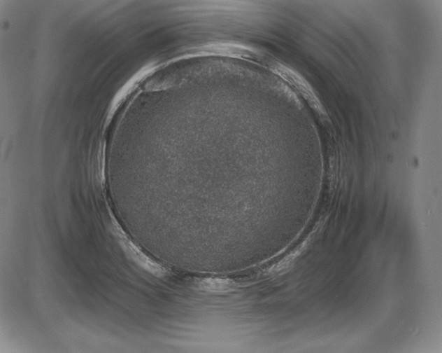 X0000086241180200703291347