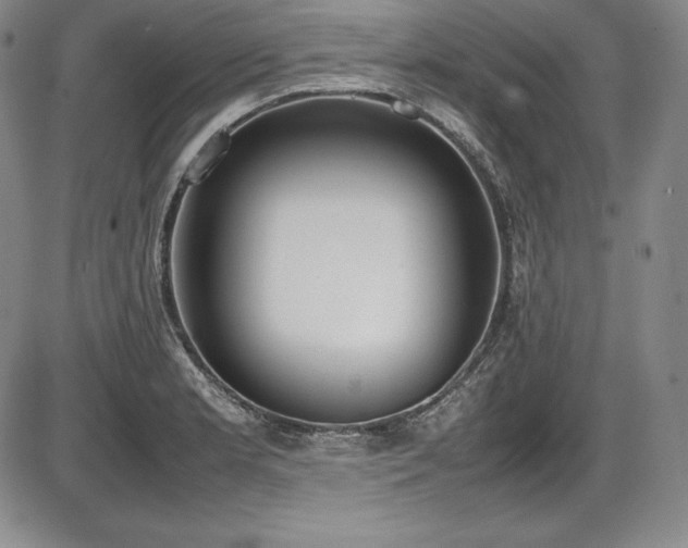 X0000086241181200703291347