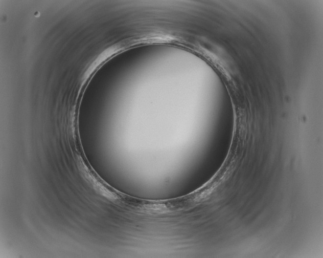 X0000086241186200703291347