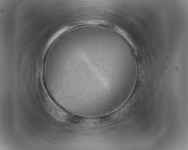 X0000086241187200703291347