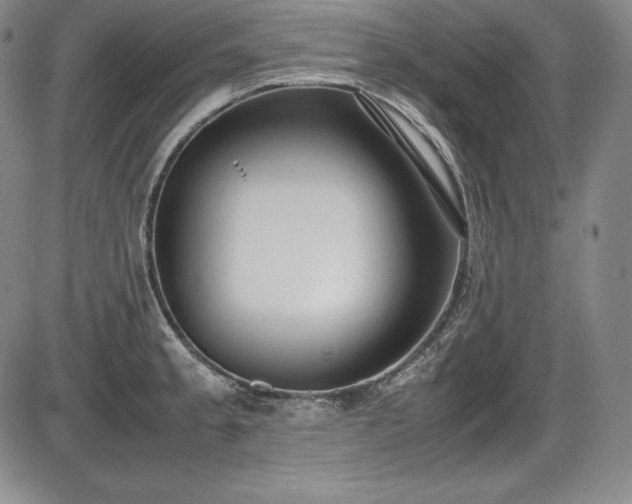 X0000086241189200703291347