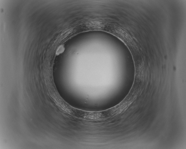 X0000086241201200703291346
