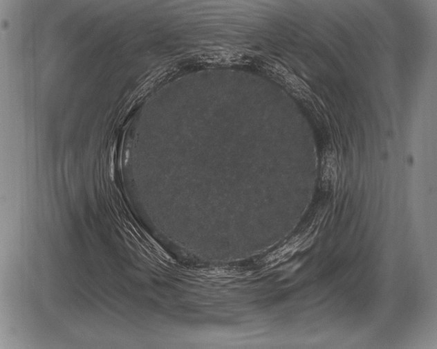 X0000086241202200703291346