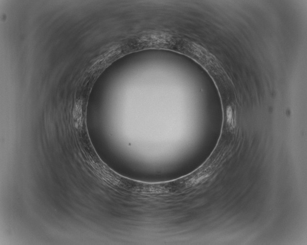 X0000086241203200703291346