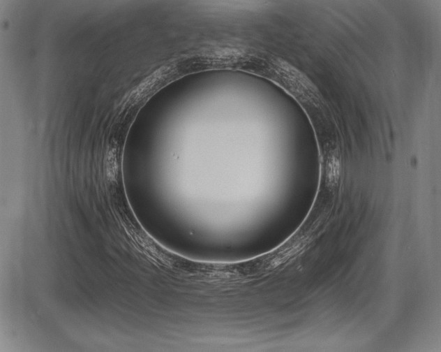 X0000086241204200703291346