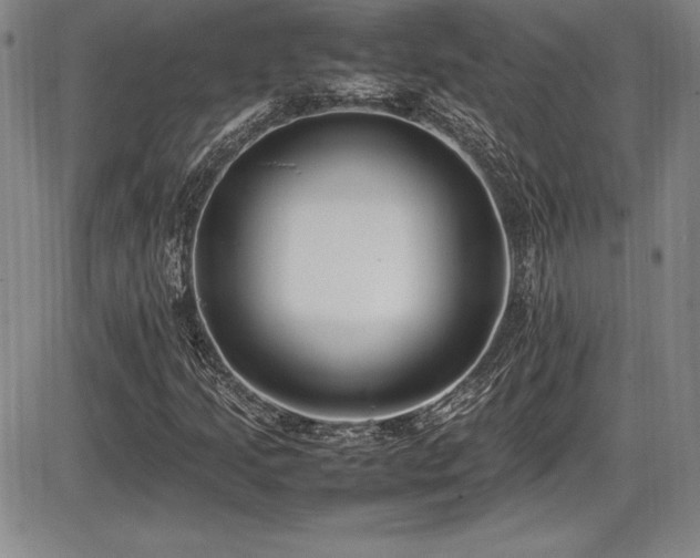 X0000086241205200703291346