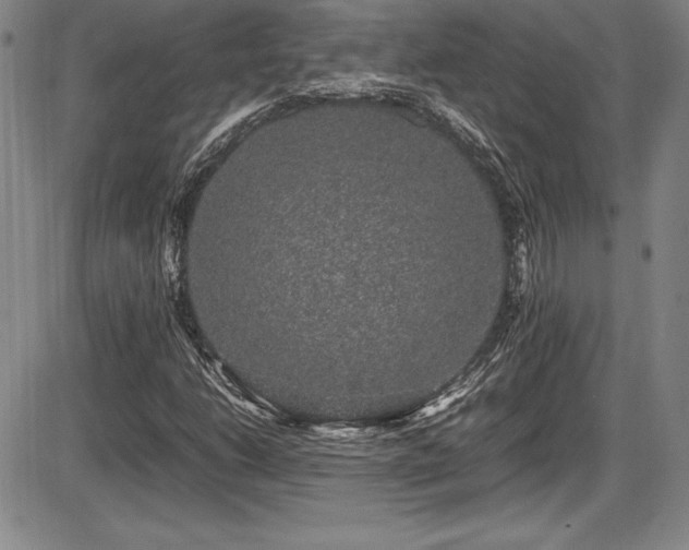 X0000086241206200703291346