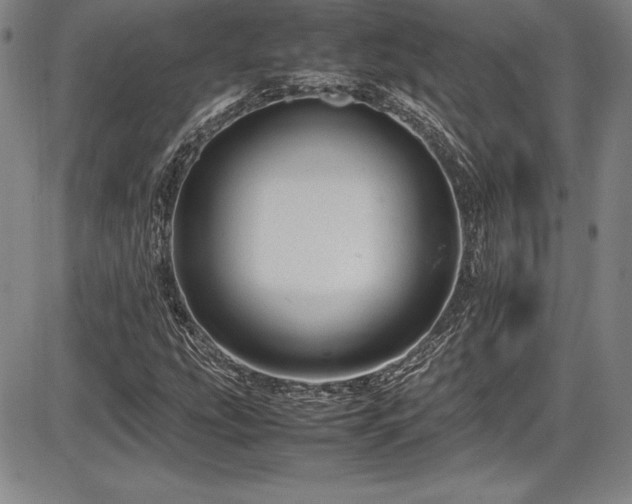 X0000086241207200703291346