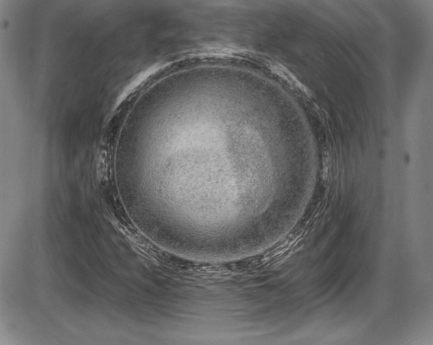 X0000086241208200703291346