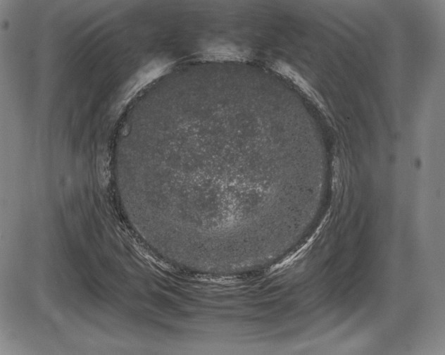 X0000086241213200703291346