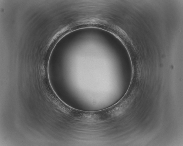 X0000086241218200703291346