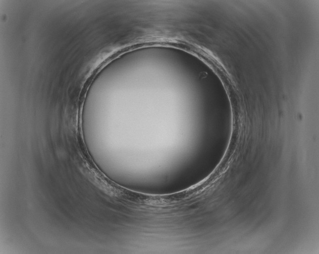 X0000086241220200703291347