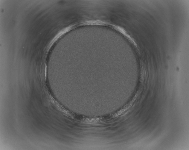 X0000086241221200703291347