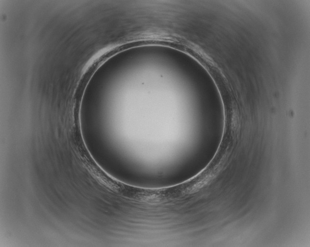X0000086241222200703291347