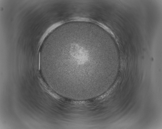 X0000086241223200703291347