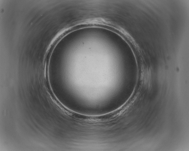X0000086241224200703291347