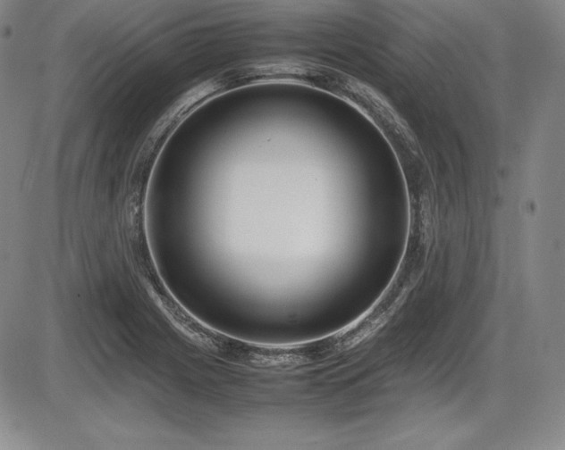X0000086241225200703291347