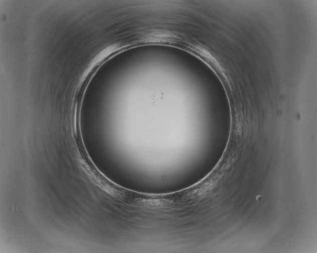 X0000086241227200703291347